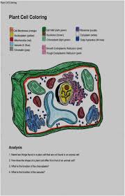 Plant And Animal Cell Coloring Worksheets Animal Cell Coloring Sheet Answer Key Best Plant C In 2020 Animal Cells Worksheet Plant Cell Cell Membrane Coloring Worksheet