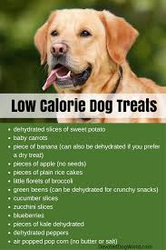 Since there are no preservatives, i recommend storing all homemade dog treats in the refrigerator. Pin On Dog Feeders And Bowls