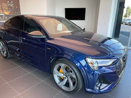 Image result for Navarra Blue 2023 E-Tron