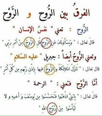الفرق في معني كلمة الروح Beautiful Arabic Words Islamic Inspirational Quotes Words