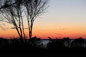 Can you drive on the beach? Audubon Pine Island Sanctuary Center