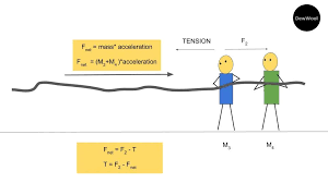 Tension Formula Tug Of War Dewwool In 2020 Tug Of War Tension Tug