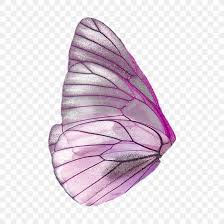 Find hundreds of easy to download butterfly svgs featuring: Butterfly Fairy Wings Clip Art Png 2896x2896px Butterfly Butterfly Wings Fairy Fairy Wings Insect Download Free