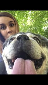 This was my little princess Lexi. Had her for 15 wonderful years