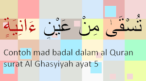 Contoh mad lin dalam ayat al quran barisan tamkin beserta suratnya badal silah tawilah surah baqarah. Contoh Mad Badal Dalam Al Quran Surat Pendek Juz Amma Pontren Com