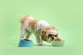 Our premium raw dog food. Fresh Cooked Dog Food Diets Vs Raw Dog Food Diets Kabo