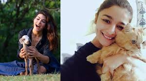 Bollywood Actress Who Are Pet Lovers: Top 11 Actress Of Bollywood Who Love  Unconditionally Their Pets | Hindi Actress Who Love Animals – FilmiBeat
