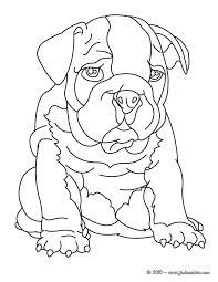 coloriage de chien bouledogue dog coloring page puppy pages owl l&#x00027;artiste imprimable