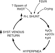 Systemic definition, of or relating to a system, especially when affecting the entirety of a thing: Pathophysiology Of Cyanotic Congenital Heart Defects Park S Pediatric Cardiology For Practitioners 6th Ed