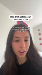 i took a nap at the 7 hour mark and when i woke up i never heard anything  else #fyp #lemans #lemans24h #safetycar #dog #dogs #racing #jackrussell