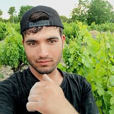 ذبیر سلیمانی‎