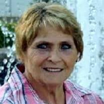 Todd Plunkett's Instagram, Twitter & Facebook