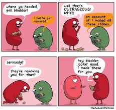 So if you're going to catch one to the kidney, why not catch one to the kidney from laughing at these kidney jokes. Pin On Funny Stuff