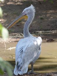 Wir haben 487 feriendomizile gefunden — geben sie ihre reisedaten an. Le Jardin Aux Oiseaux Upie 2021 All You Need To Know Before You Go With Photos Tripadvisor