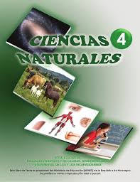 Este texto esta dirigido tanto para estudiantes como para profesores con la guía del docente y el solucionario. Ccnn 4 To
