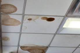 How to update your drop ceiling. How To Replace Drop Ceiling Tiles In 6 Simple Steps Home Decor Bliss