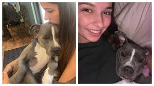 Allie Erspamer, 19, the daughter of Rock Springs Police Chief Bill  Erspamer, is accused of fatally poisoning her roommate Hallie Blake's pit  bull, Lilly, in April 2025. The dog, which Hallie had