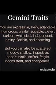 Those Twins Are Exhausting Gemini Personality Gemini Traits Gemini Quotes