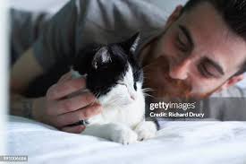 3,854 Richard Lie To Stock Photos, High-Res Pictures, and Images