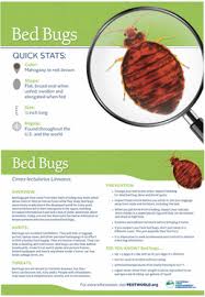 johnson pest control google bed bug facts bed bugs bed bug bites