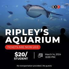 Ripley'S Aquarium Mermaids Make A Splash In Gatlinburg