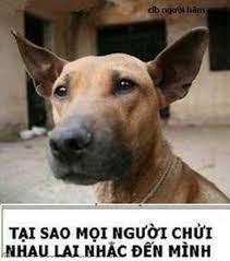 Kết quả hình ảnh cho những hình ảnh bá đạo