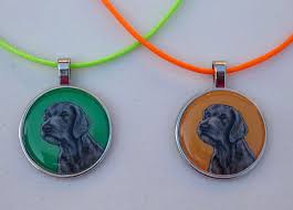 Image result for slovenský ohař hrubosrstý