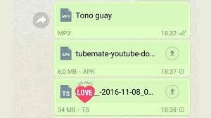 Whatsapp Starts Allowing Sharing Of All File Types On Android Iphone W Android App Development App Development Companies Mobile App Development Companies