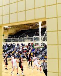 Towering Bruins overshadow Bears