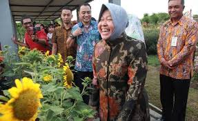 Surabaya memang terkenal dengan tamantamannya yang indah. Risma Resmikan Taman Bunga Terbesar Di Surabaya Timur
