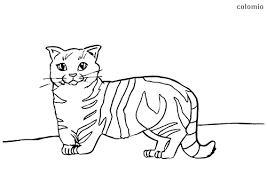 Free printable cat coloring pages for kids. Cats Coloring Pages Free Printable Cat Coloring Sheets