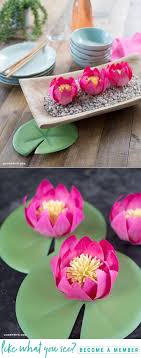 We did not find results for: Craft This Pretty Paper Lotus Flower With Our Tranquil Tutorial Paper Lotus Flower Crafts Paper Flower Tutorial