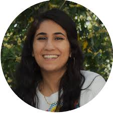 Team:IIT Chicago/Team