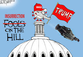 But this story makes little sense and you shouldn't believe it. Trump Ignites Insurrection Invoke 25th Amendment Darcy Cartoons Cleveland Com
