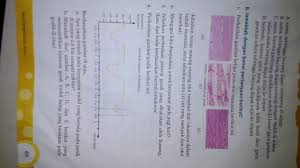 Kunci jawaban buku paket matematika kelas 8 kurikulum 2013 semester 1. Kunci Jawaban Pjok Kelas 8 Hal 69 Guru Galeri