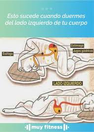 Manos de Luz: Pines recomendados en Biología avanzada