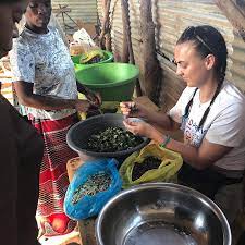 Both courses will help you improve the quality of your dishes, both for yourself and. Cooking Courses In Zambia Supamoto Emerging Cooking Solutions Sweden Ab Malam Ini