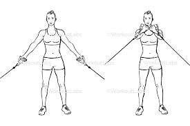 Standing upward dumbbell chest fly. Low Upward Cable Pulley Crossover Chest Flyes Workoutlabs Exercise Guide