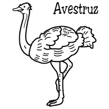 Dibujos De Avestruces Para Colorear Colorear Imagenes Un avestruz tiene el cuello muy largo y las patas tambien lo que les permite correr a gran velocidad. dibujos de avestruces para colorear