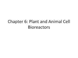 The most important structures of plant and animal cells are shown in the diagrams below, which provide a clear illustration of how much these cells have in common. Chapter 6 Plant And Animal Cell Bioreactors Ppt Video Online Download