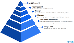 What Does A Vp Of Hr Do? - Hr University