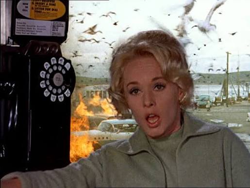 The Film Sufi: “The Birds” - Alfred Hitchcock (1963)