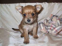 Samantha Hughes Samijoe1974 Profile Pinterest