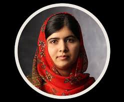 SHSE NOVEMBER-2016-NEWSLETTER-1