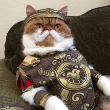 Best Pet Costumes 1 Sir Bentley Winston Kucing