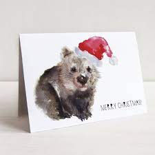 Chrissy Card Pack Watercolor Christmas Cards Australian Christmas Cards Xmas Cards Design