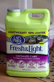 5 Ways To Keep Your Home Smelling Pet Free Even If It S Not Cozy Country Living