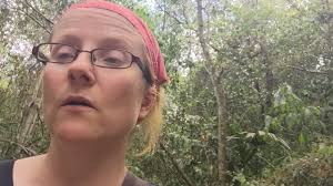 Collapse of the Maya