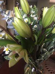 A fee of $2.99 is. From You Flowers Reviews 1 593 148 Reviews Of Fromyouflowers Com Sitejabber