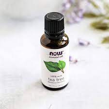 Easy Diy Clay Jewelry Dish Helloglow Co Oils For Dandruff Tea Tree Essential Oil Tea Tree Oil